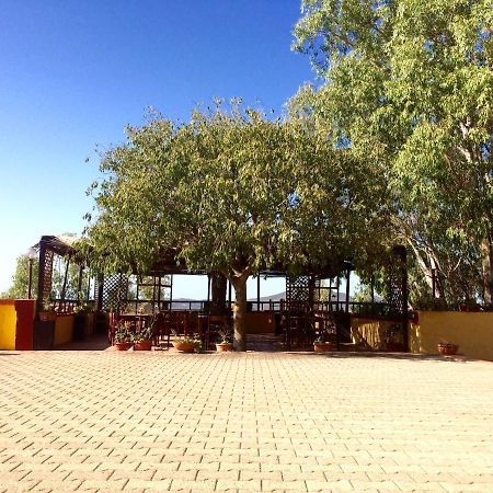 特乌拉达Agriturismo E Antica Fattoria Matteu住宿加早餐旅馆 外观 照片