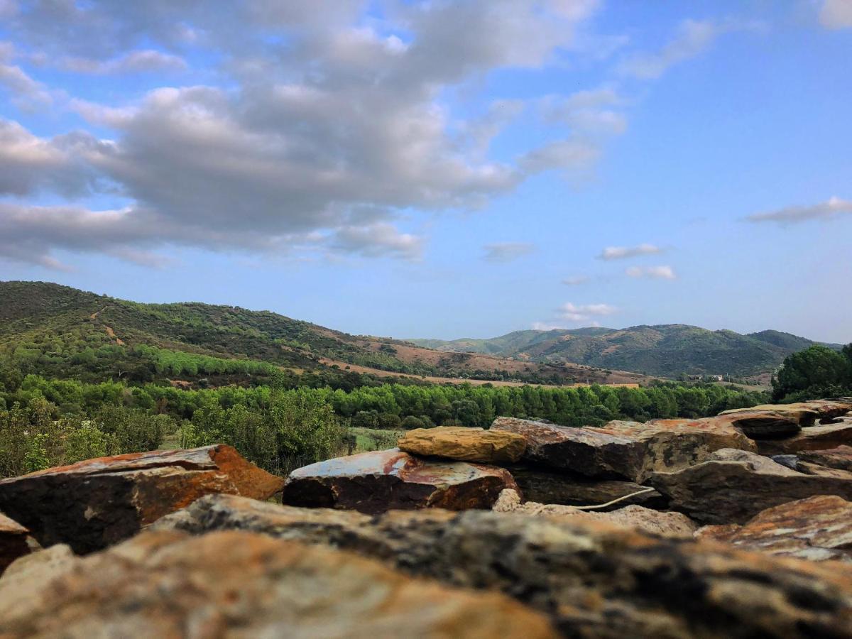 特乌拉达Agriturismo E Antica Fattoria Matteu住宿加早餐旅馆 外观 照片