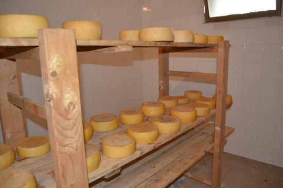 特乌拉达Agriturismo E Antica Fattoria Matteu住宿加早餐旅馆 外观 照片